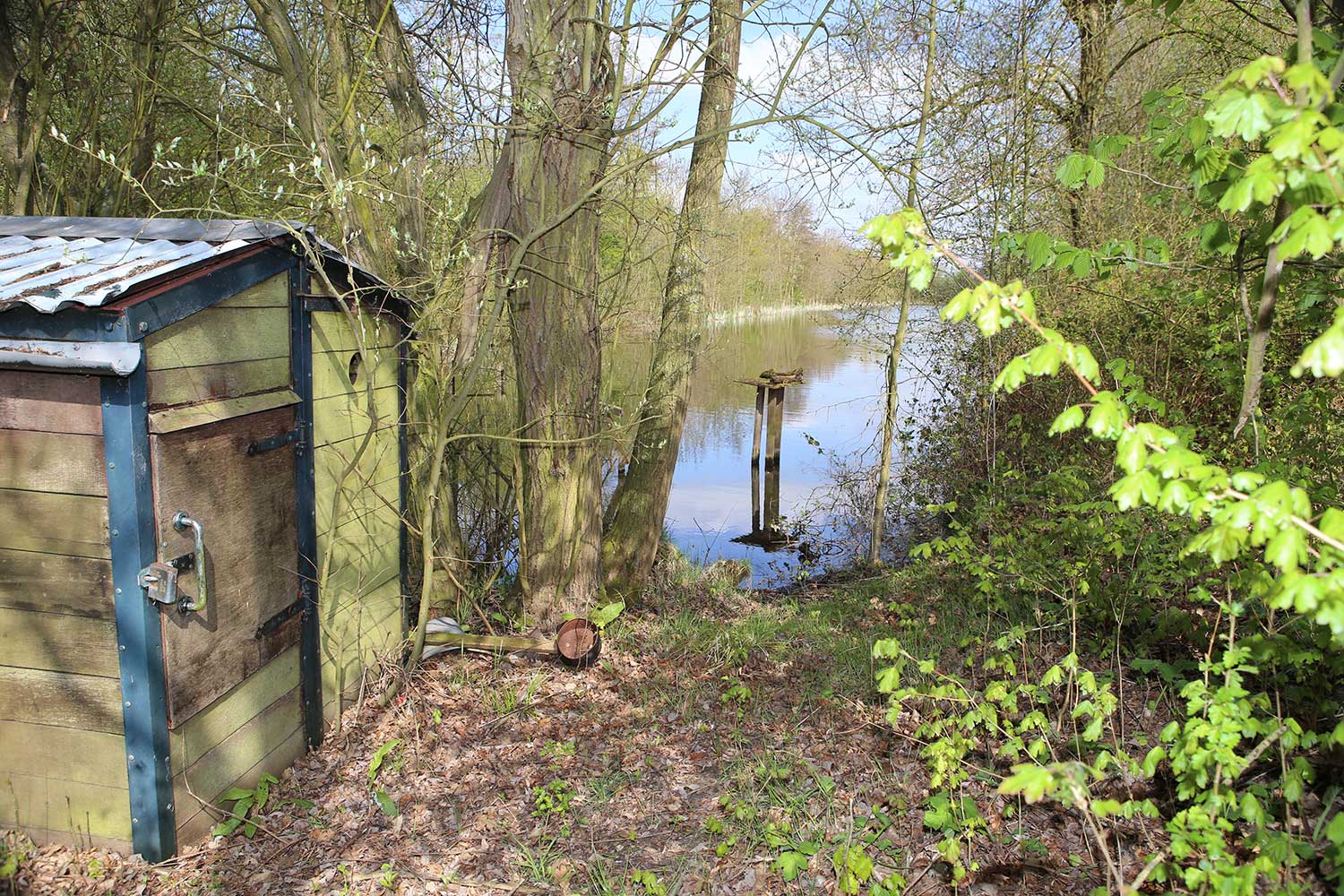 Bird Watching on Pete’s Airgun Farm in Essex