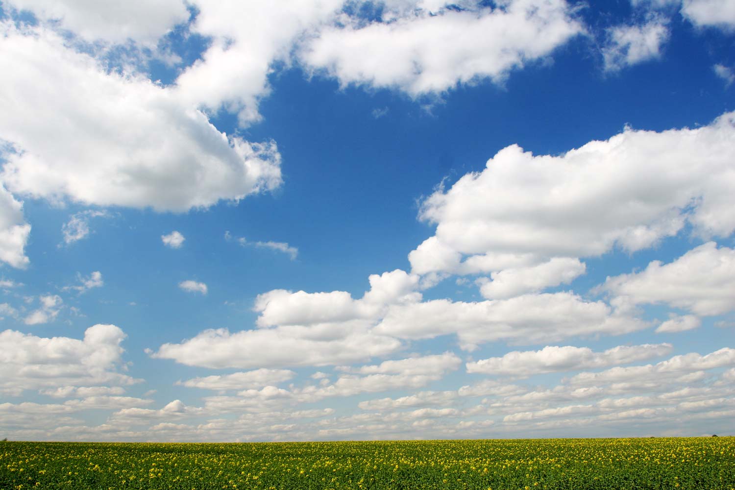 Blue Skies over the Farm