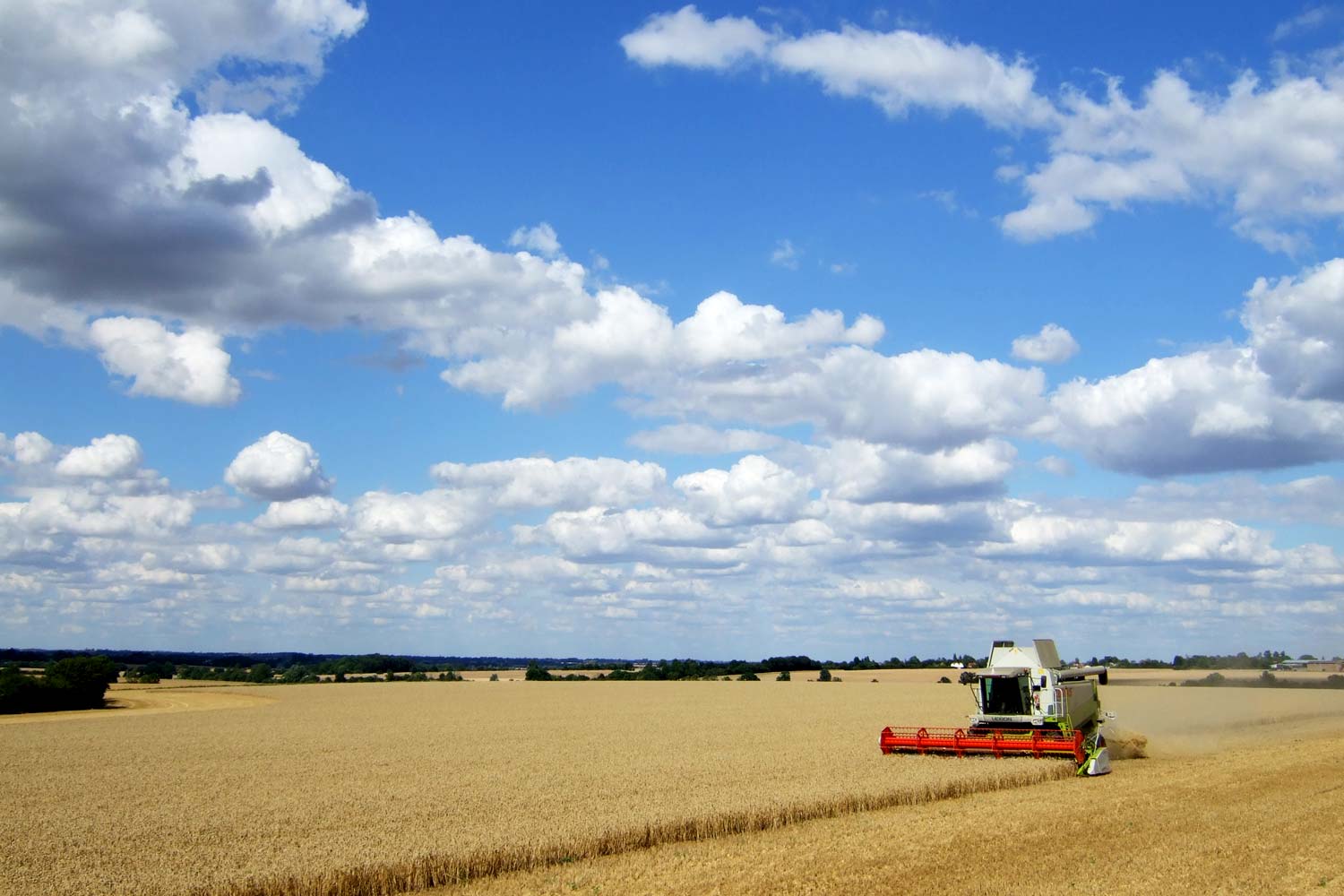 Harvest at the Farm