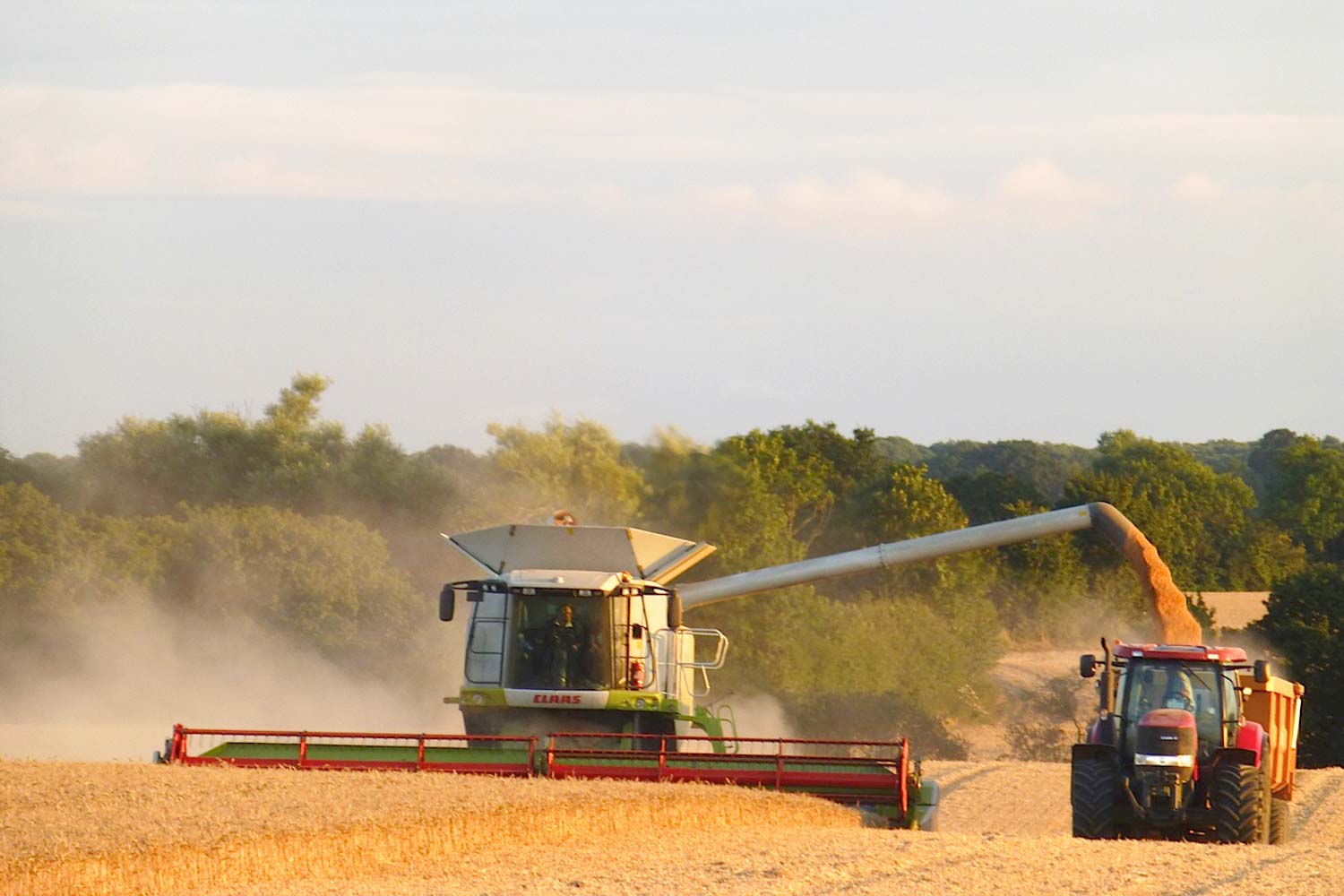 Harvest at the Farm