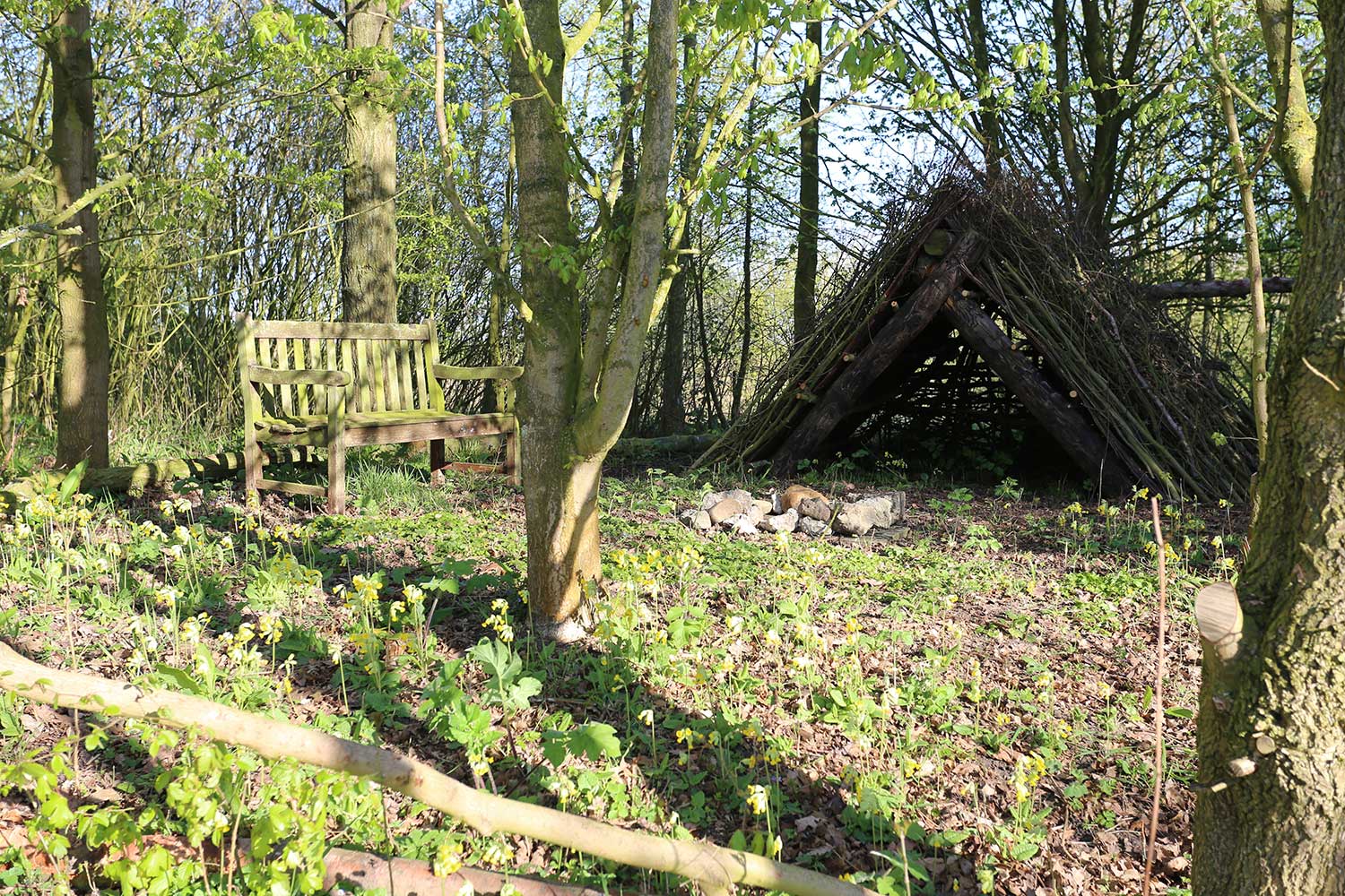 Camping at the Farm